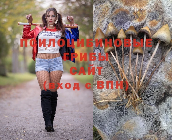 крисы Касимов