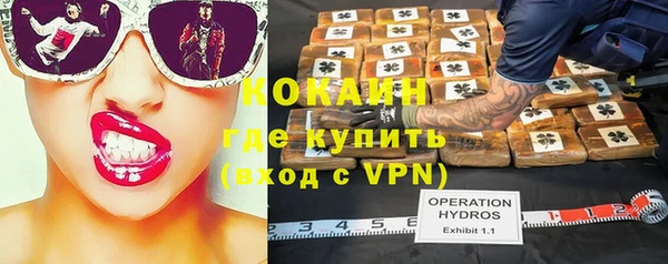 мет Каменка