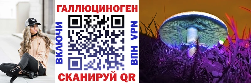 Купить где  Бугуруслан  Галлюциногенные грибы Psilocybe 